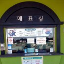 선무태권도 | 제주 아리랑공연장 The K-SHOW｜태권도와 한국무용이 빚어낸 감동의 무대