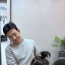 본가안동찜닭 | 구미 형곡동 찜닭 맛집 본가안동찜닭 구미본점 솔직후기