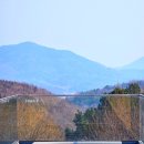 금성애견 | 광주근교 담양 애견카페 추천 파인드업 애견동반 운동장 펜션 후기