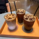 G340 | 💚 부여 예쁜정원카페 [G340] 초록초록 후기 💚