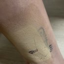 피노코로 | 드레스 문신가리기 : 피노코로 : 프리미엄 타투 흉터...테이프 내돈내산 사용 후기(+지속력/전후비교)