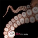대홍광고
