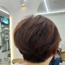 Gwell헤어