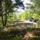 영준카써비스 이미지