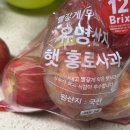 홈플러스마트 | 햇사과 홍로 12브릭스 12brix 구매 후기 홈플러스 마트 장보기 사과 사랑, 하루 사과 한 개