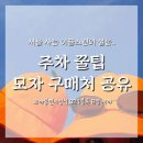 서울팬의 이글스파크 직관 찐 후기 (주차팁, 모자 구매처 공유)