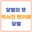 카페닻별 - 수성구 | 카페닻별
