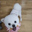 화멍화멍 이미지