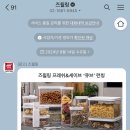 부산 강아지 24시 애견미용호텔유치원 도그드림(서면점) 이미지