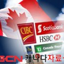 [캐나다어학연수] 캐나다에서 은행 계좌 만들기! 이미지