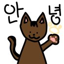 쿠* 탐사 고양이습식캔 리얼후기 내돈내산