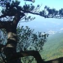 학곡목장 이미지