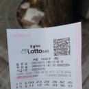 가판100호