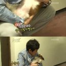 이경규농장 이미지