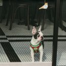 남산이용소 이미지