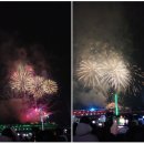 동세종농협 연흥지점 | 2026 어서와요// 세종 카운트다운 불꽃쇼✨2026 이랴이랴 세종해맞이 행사는 세종호수공원