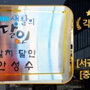 통갈치 티스토리