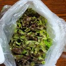 뚱땡이족발 이미지