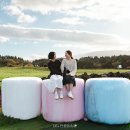 우정목장 이미지