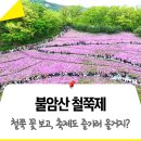 철쭉 하면 불암산 철쭉제! 즐길 준비 되셨나요?! 프로그램, 공연(박애리 &amp; 팝핀현준), 버스킹, 푸드트럭 등