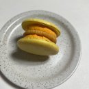까롱제과 | 깐깐제과 쫀득하고 맛있는 뚱카롱 마카롱 다쿠아즈 후기