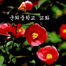 군외중학교 이미지