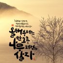 나무랑캘리랑