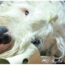 판문마을 이미지