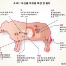 솔밭원조곱창구이 이미지