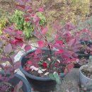 민제농장 이미지