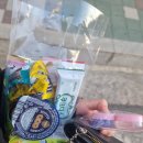 먼마루 벚꽃거리 문 | 원종동 브라질리언왁싱 통증 없는반짝임왁싱