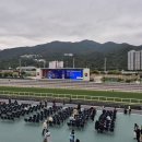 해피밸리 | 홍콩 해피밸리 경마장 특별한 여행지 관광코스 추천! 26배 당첨 후기