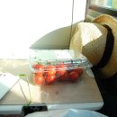 푸르다오션 민박 | 28. 지중해 오션 너는 푸르다.