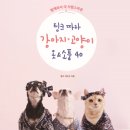 팅크 이미지