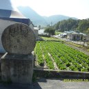 신당2리 이미지