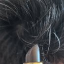 다있다마켓몰
