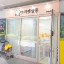 코지펫살롱 이미지