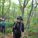 초록화원 이미지