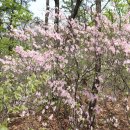 삼죽면사무소 이미지