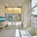 샵봄애견샵 이미지