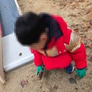 우면산유아숲체험장 네이버블로그