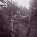 태백체육관 이미지