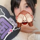 소우가 | timelesz FAM dome tour!!도쿄돔!!참전기