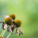 성동구청 이미지