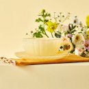 컵하우스 이미지