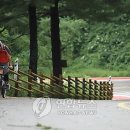 탄금호순환자전거길 5 이미지