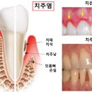 두암치과의원 서울경제
