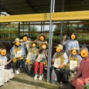 동부케어공도노인복지센터 이미지