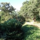 행주산정 이미지