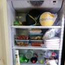 아일랜드코쿤 이미지